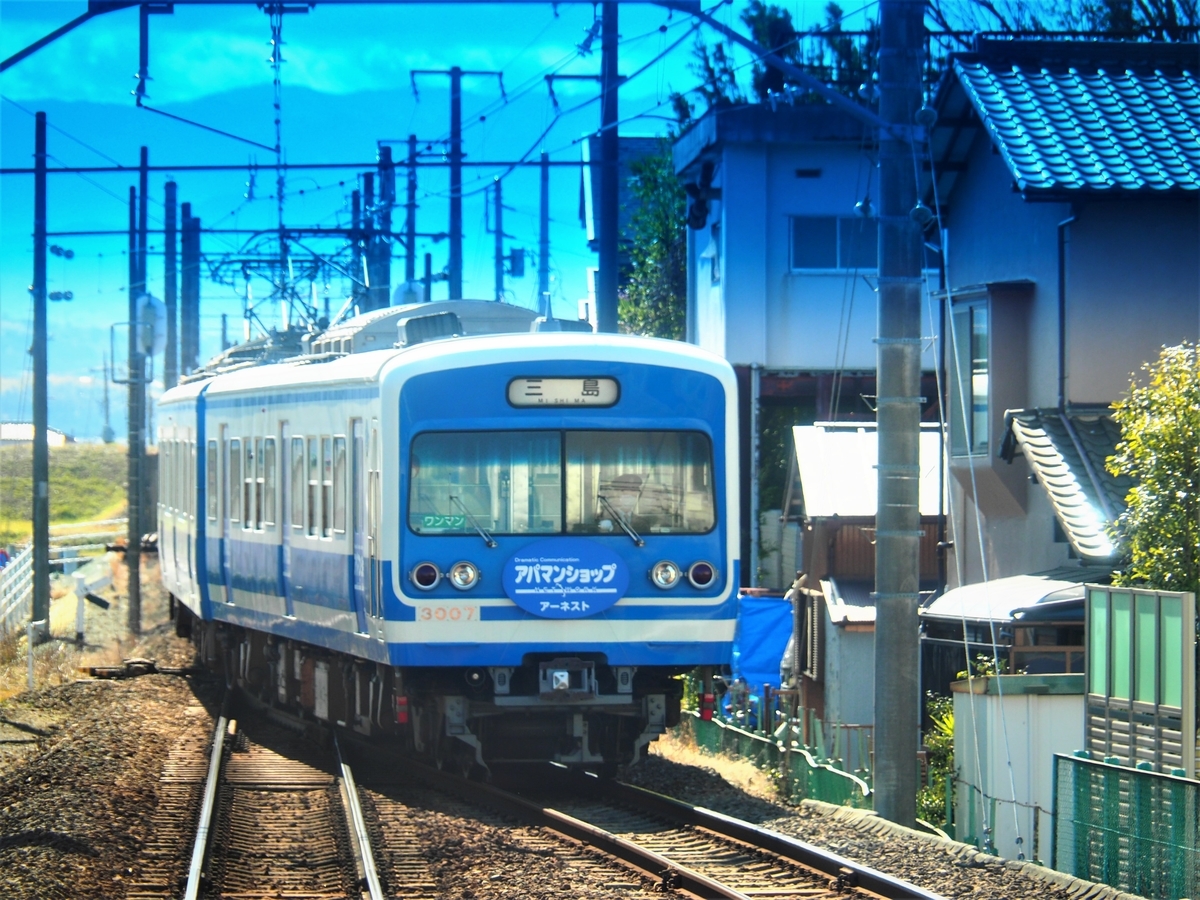 f:id:hakutsuru583:20210319175742j:plain