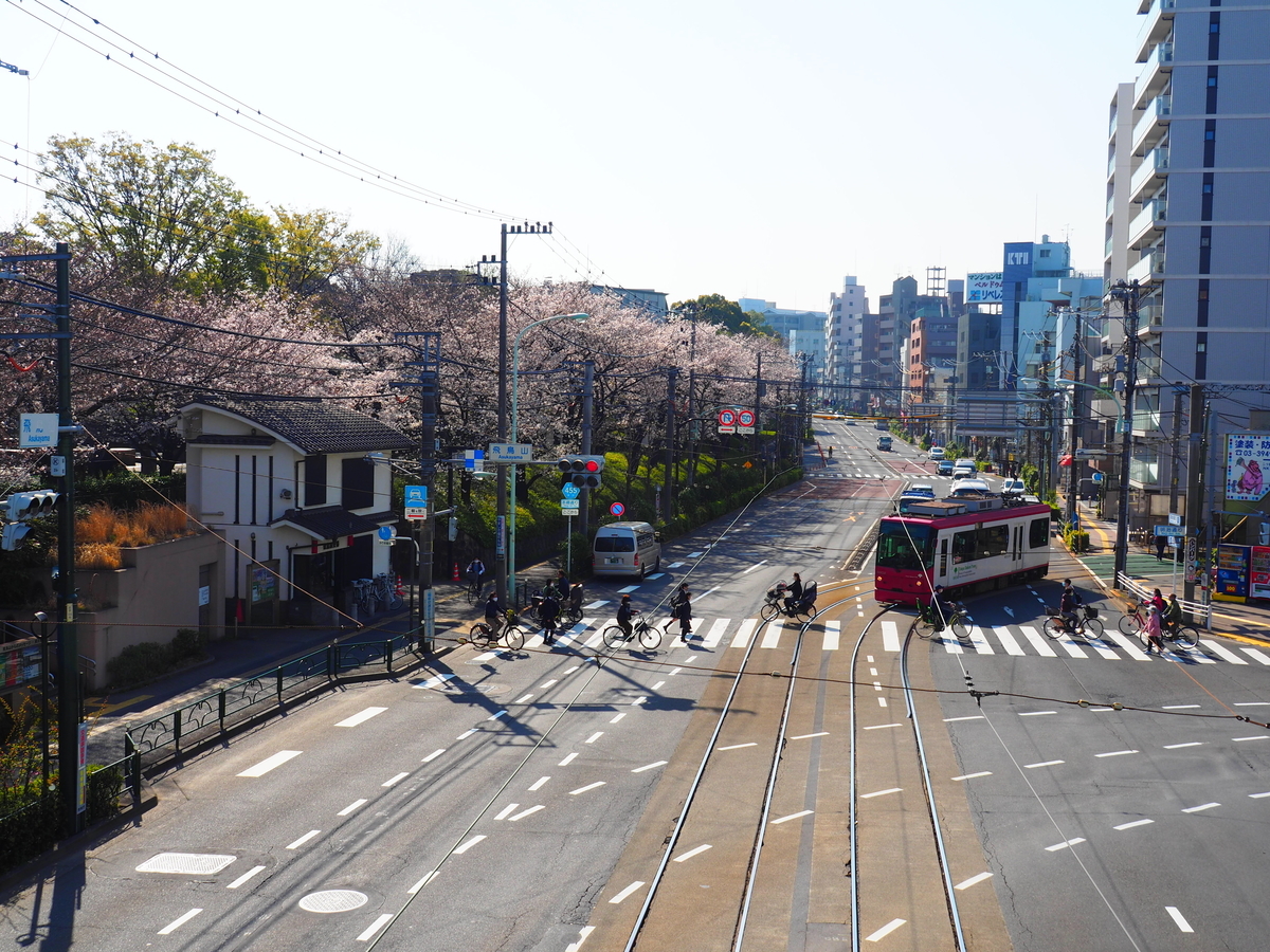 f:id:hakutsuru583:20210325212353j:plain