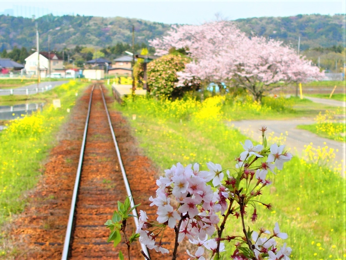 f:id:hakutsuru583:20210413210517j:plain