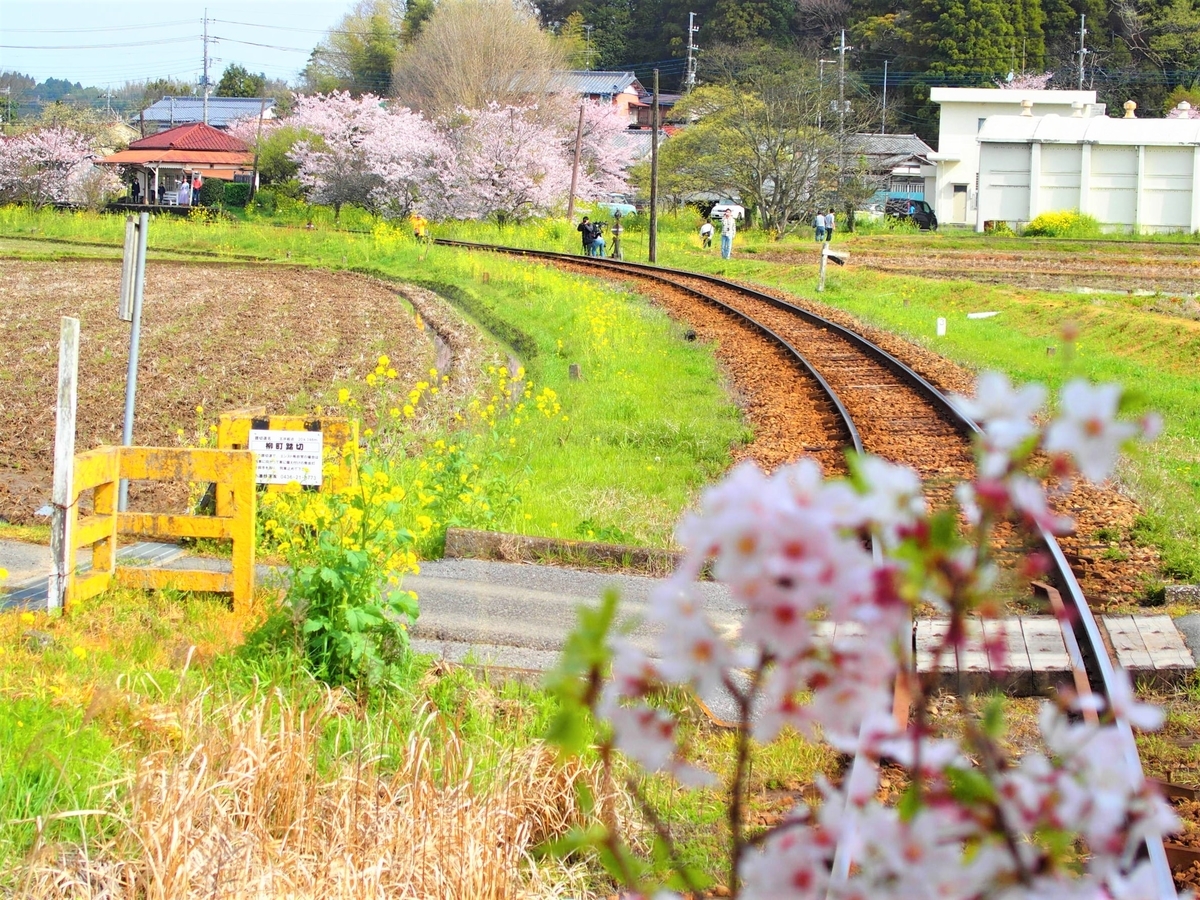 f:id:hakutsuru583:20210413210625j:plain