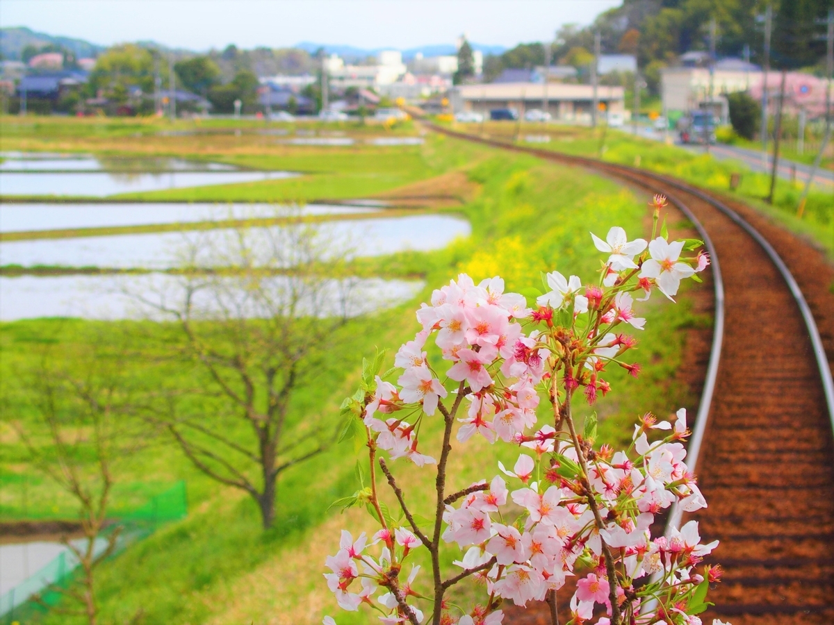 f:id:hakutsuru583:20210415202547j:plain