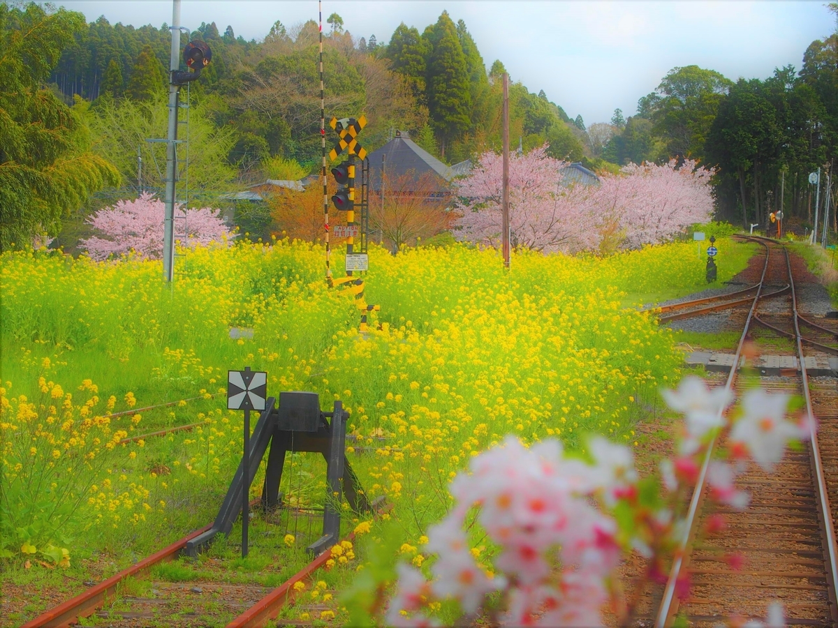 f:id:hakutsuru583:20210415202724j:plain