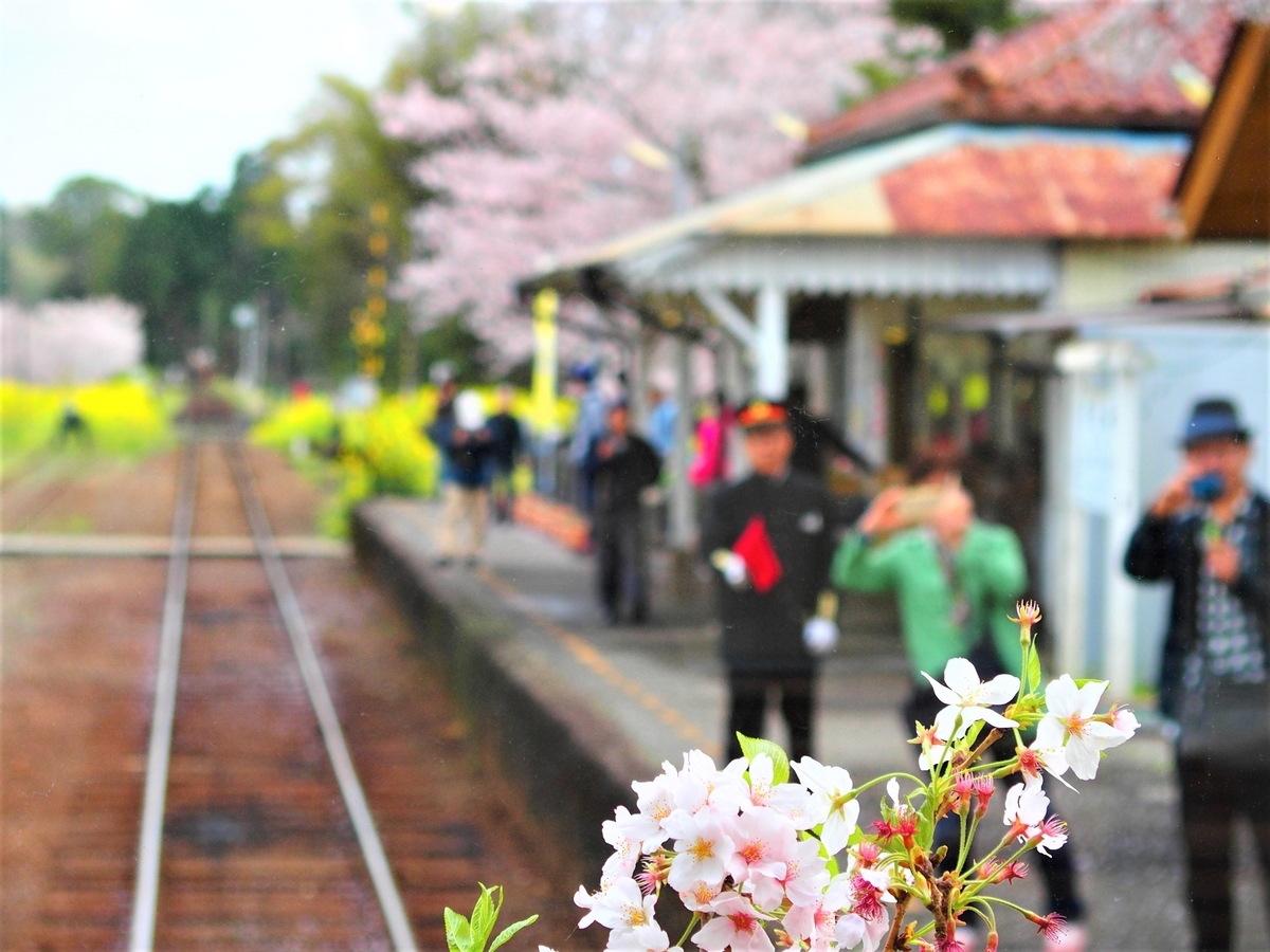 f:id:hakutsuru583:20210419201249j:plain