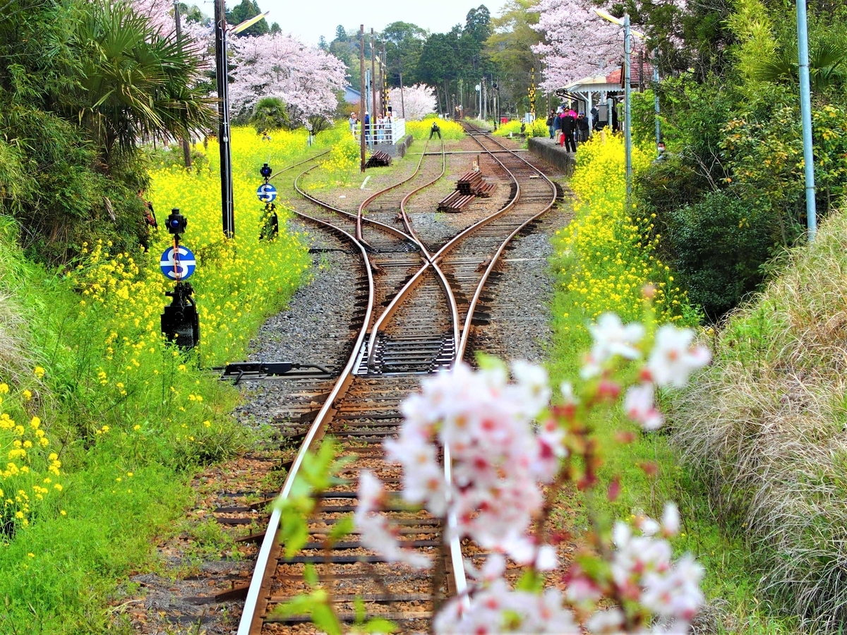 f:id:hakutsuru583:20210419201416j:plain