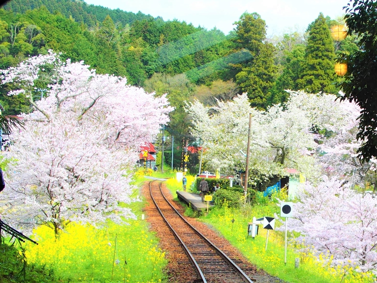 f:id:hakutsuru583:20210421181459j:plain