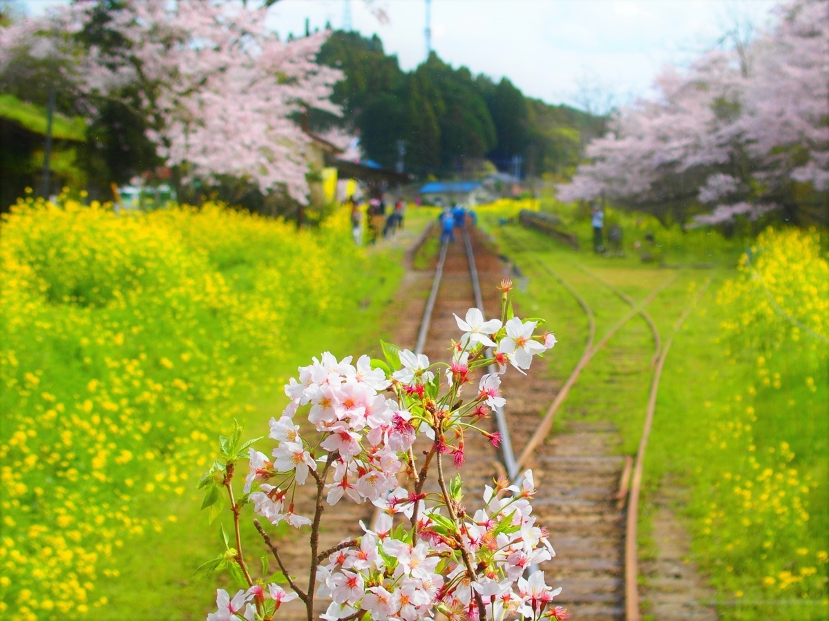 f:id:hakutsuru583:20210423200443j:plain