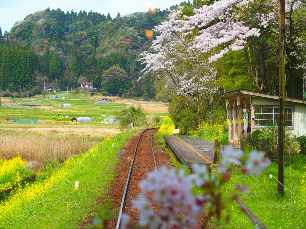 f:id:hakutsuru583:20210423200533j:plain