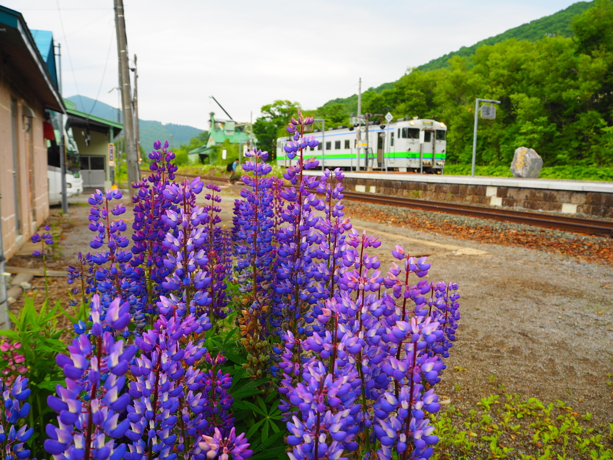 f:id:hakutsuru583:20210529153306j:plain