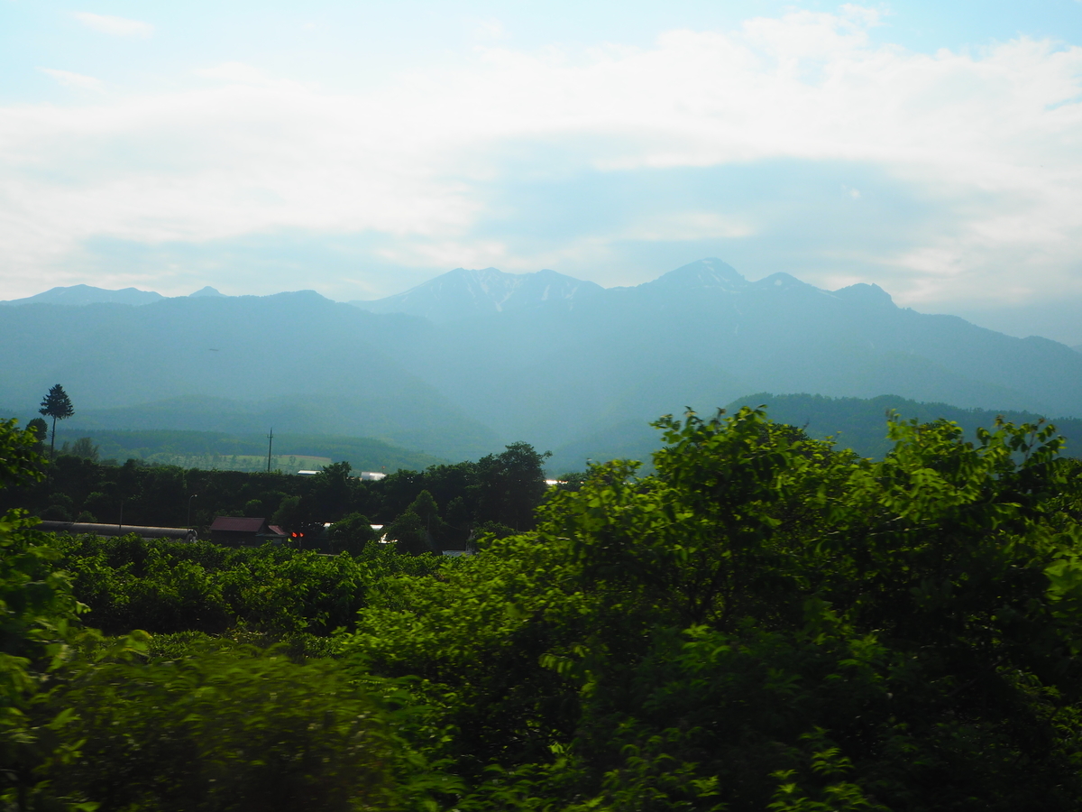 f:id:hakutsuru583:20210604203639j:plain