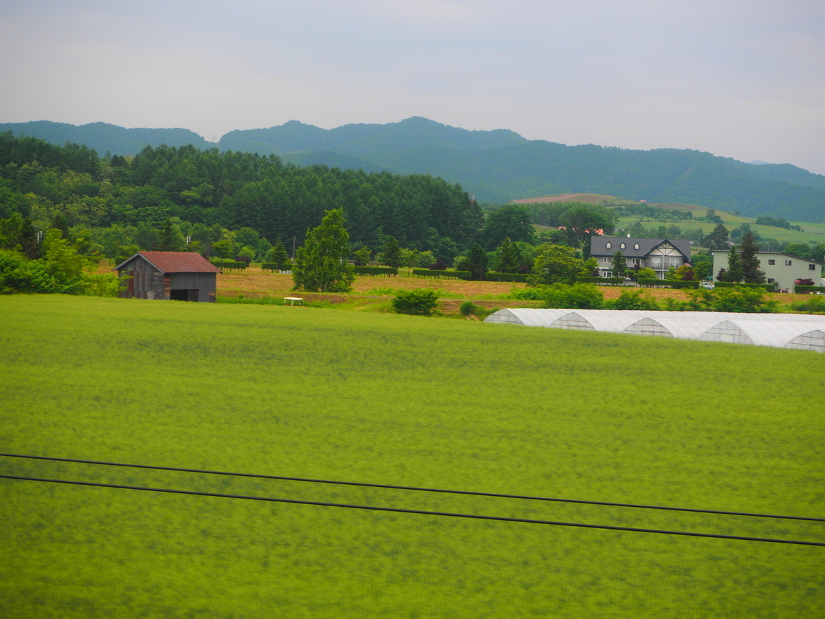 f:id:hakutsuru583:20210606095839j:plain
