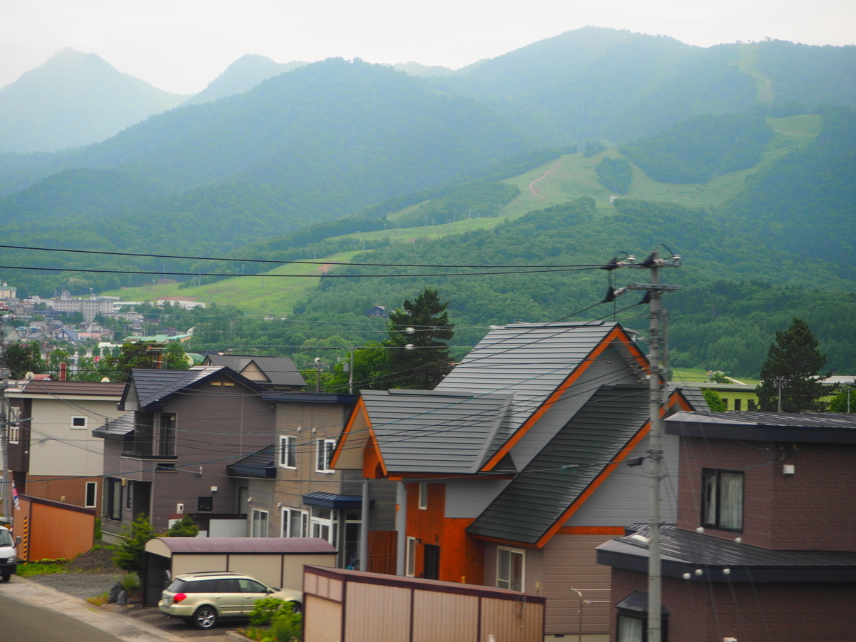 f:id:hakutsuru583:20210606095922j:plain