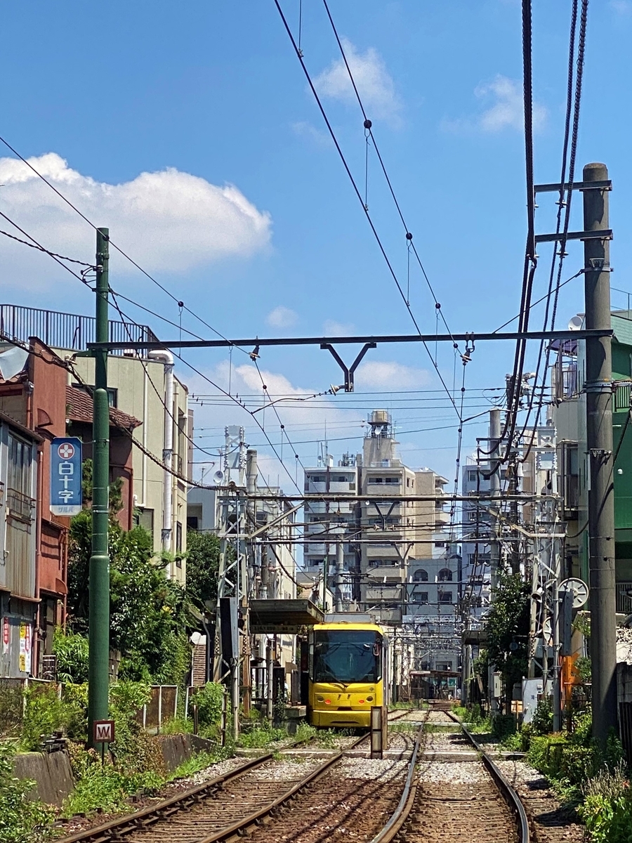 f:id:hakutsuru583:20210720195041j:plain