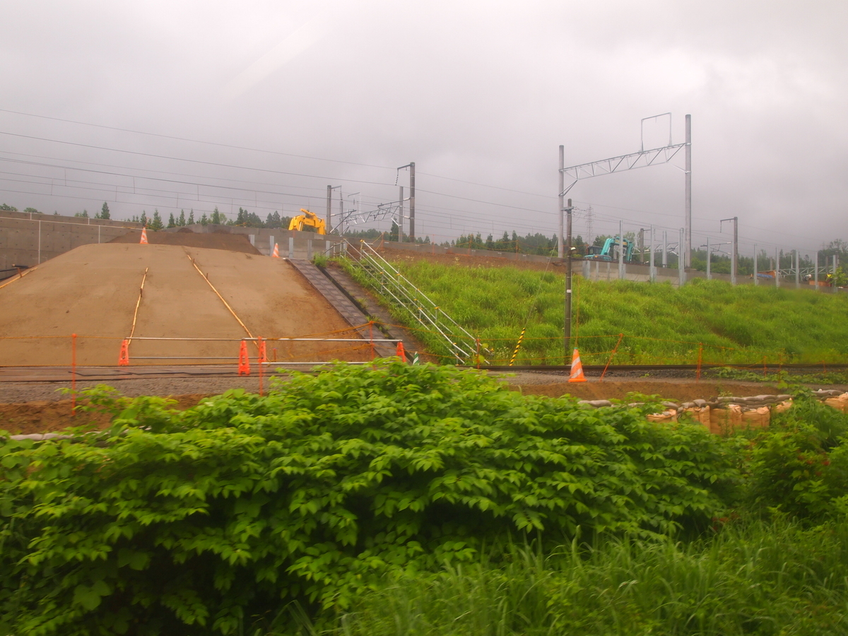 f:id:hakutsuru583:20210729180102j:plain