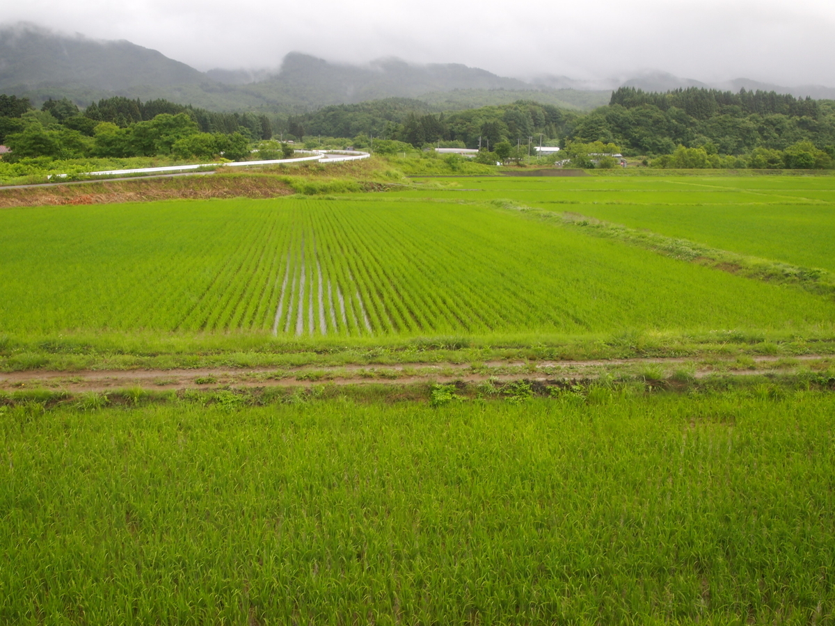 f:id:hakutsuru583:20210729180900j:plain