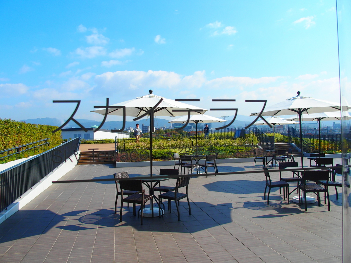 f:id:hakutsuru583:20210925085409j:plain