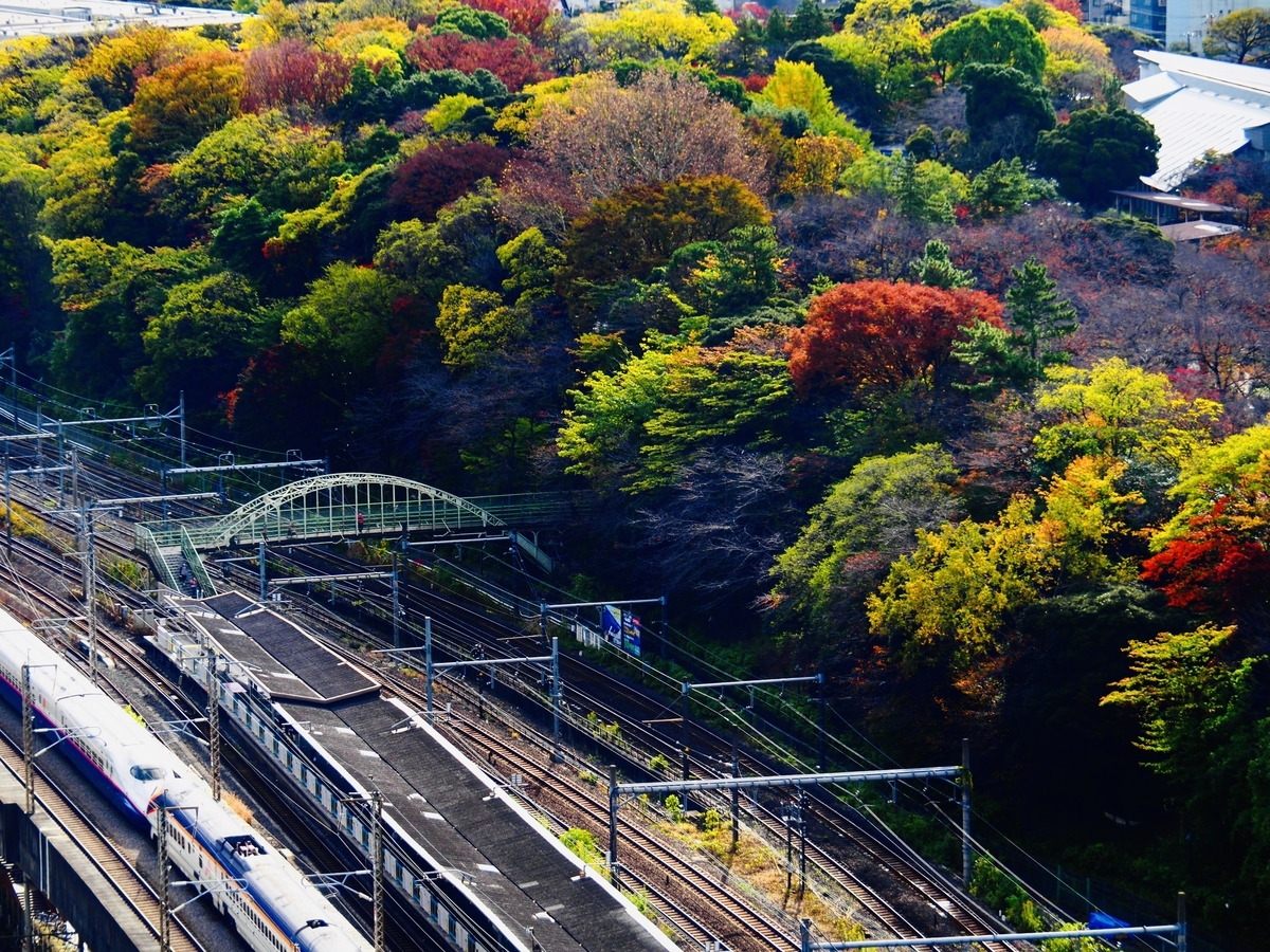 f:id:hakutsuru583:20211201192932j:plain