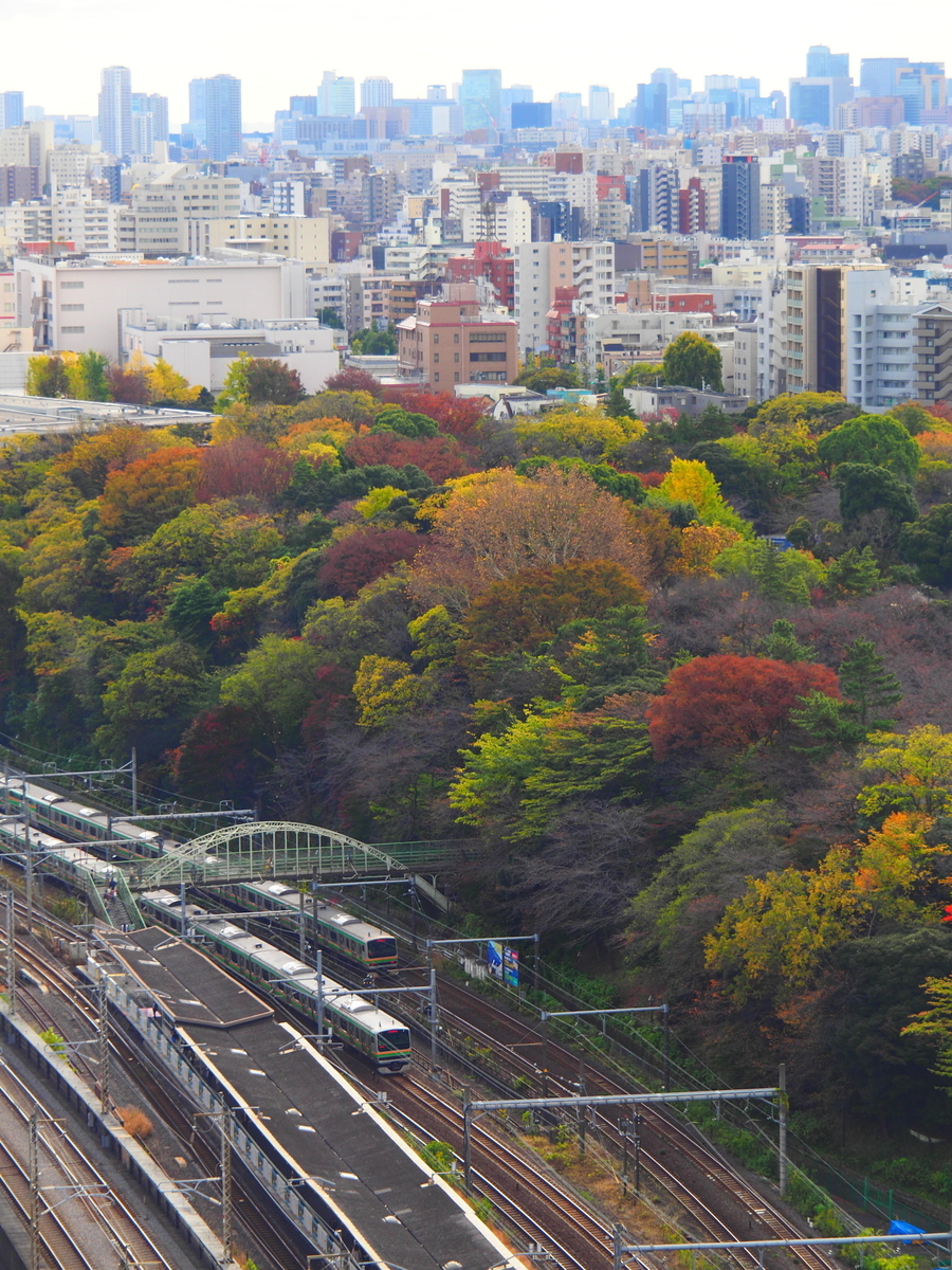 f:id:hakutsuru583:20211201193128j:plain