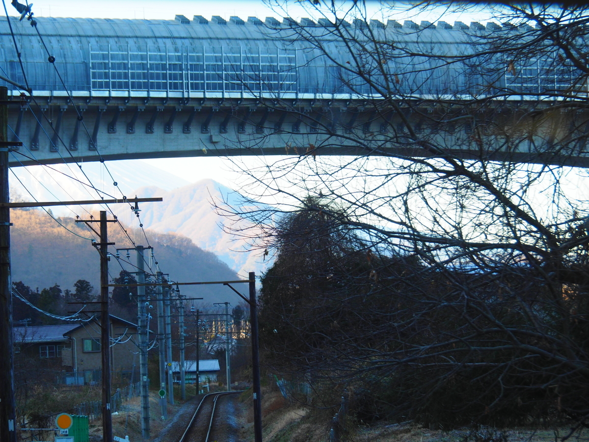 f:id:hakutsuru583:20220115204015j:plain
