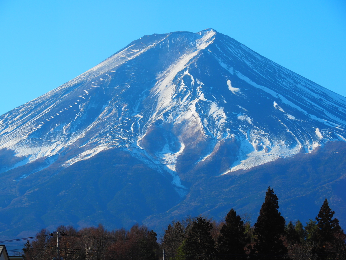 f:id:hakutsuru583:20220117205201j:plain