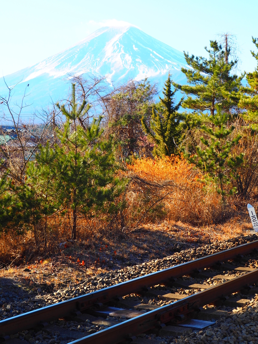 f:id:hakutsuru583:20220119210624j:plain