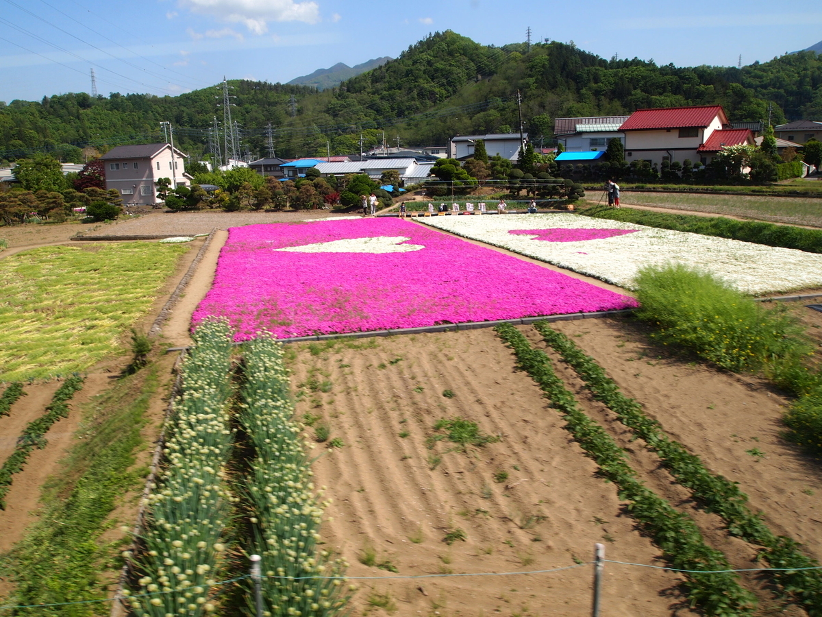 f:id:hakutsuru583:20220125210127j:plain
