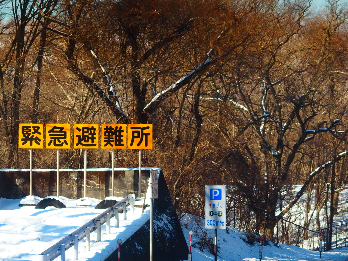 f:id:hakutsuru583:20220223151211j:plain