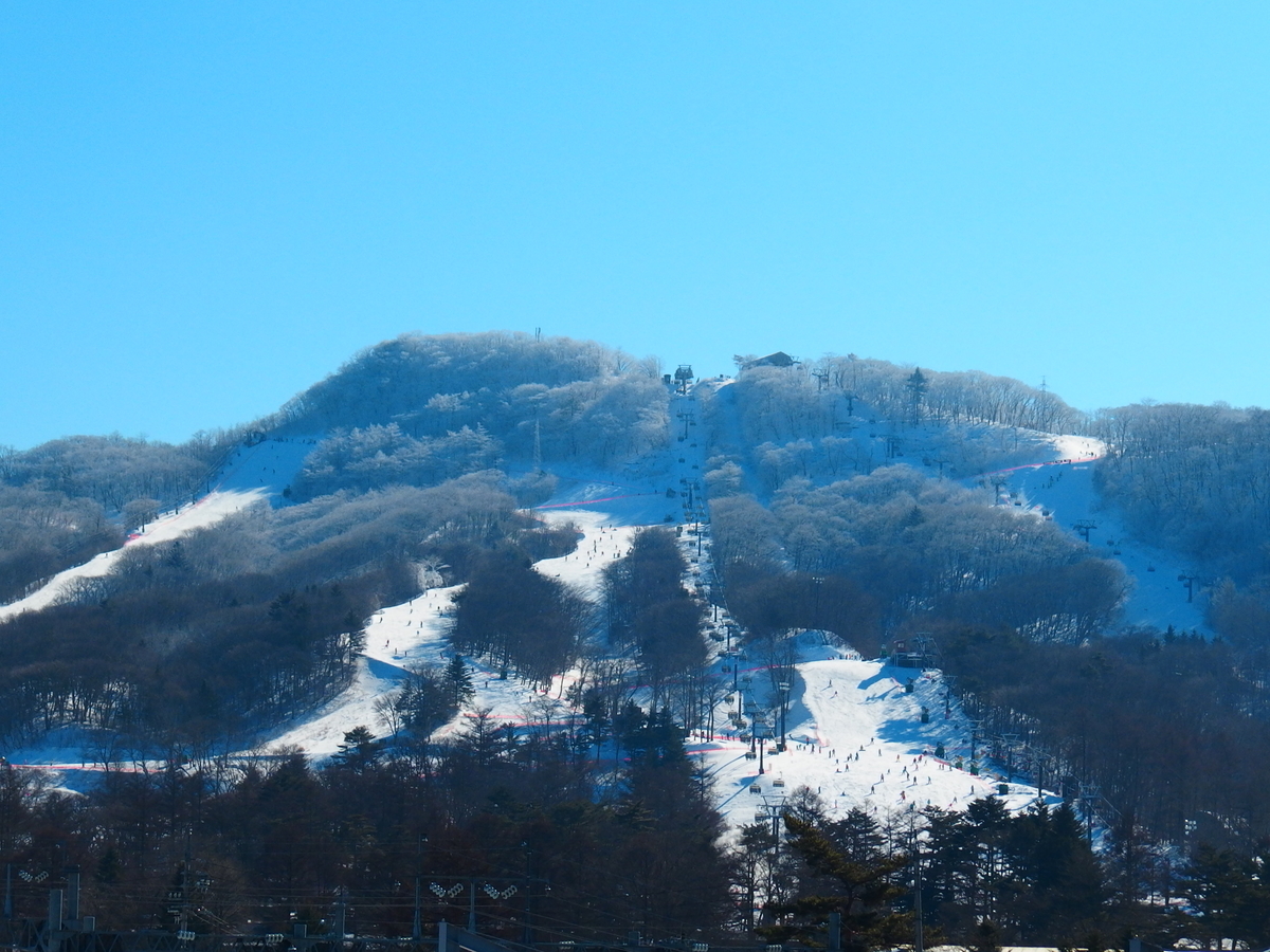 f:id:hakutsuru583:20220226111009j:plain