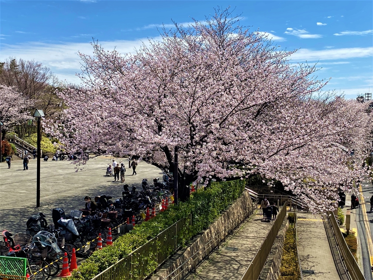 f:id:hakutsuru583:20220403141947j:plain