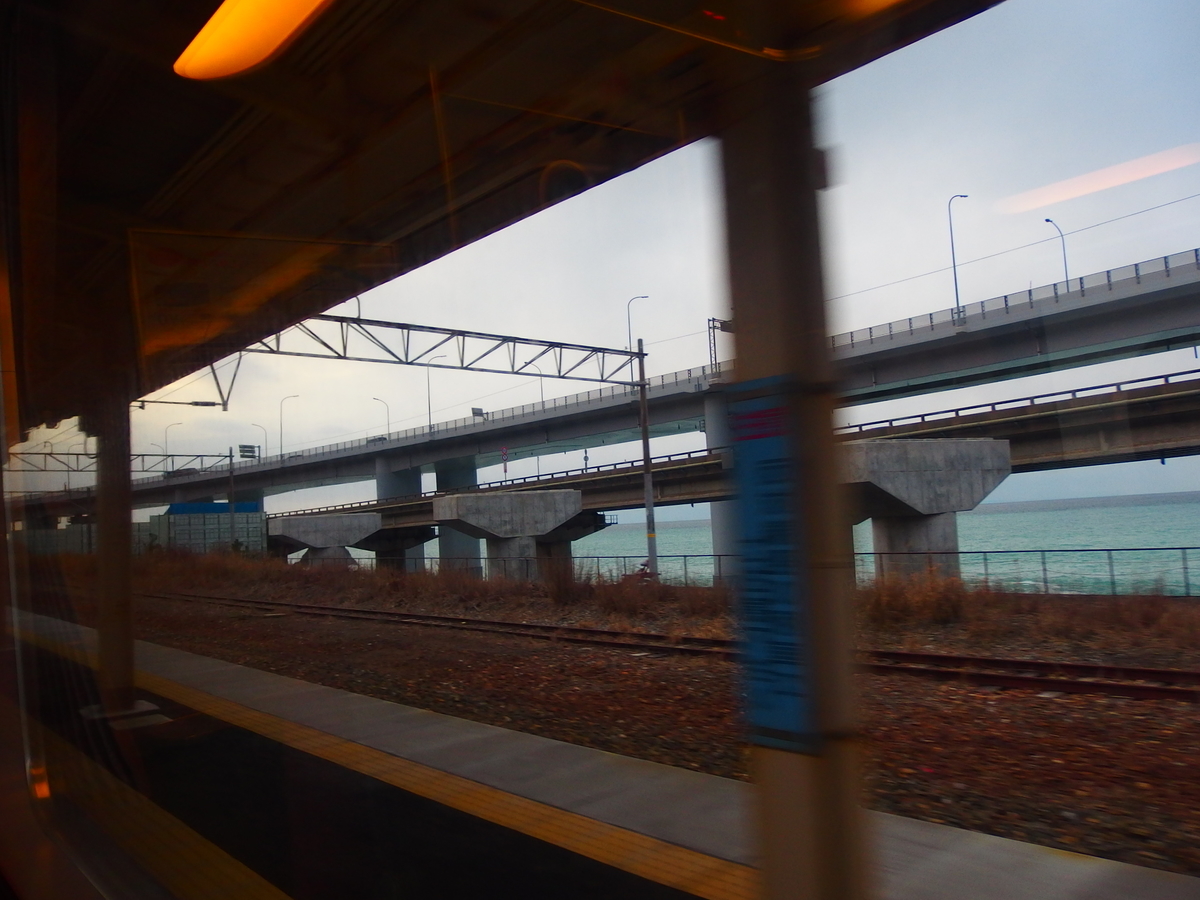 f:id:hakutsuru583:20220409104347j:plain