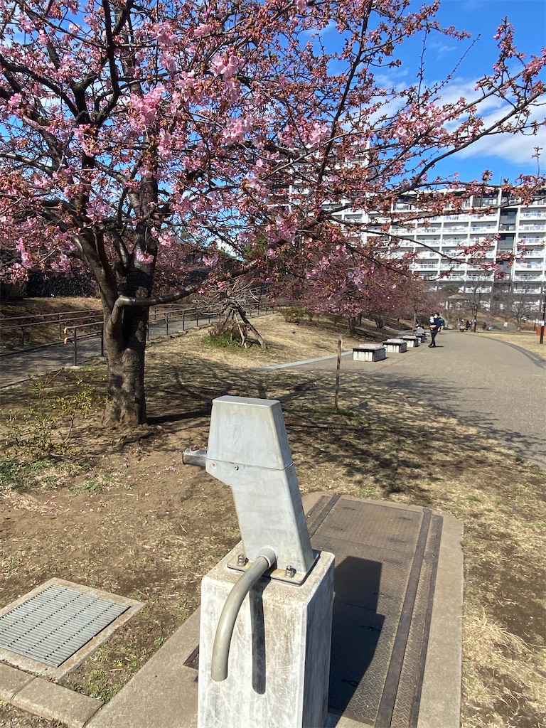 f:id:hakutsuru583:20230306203353j:image