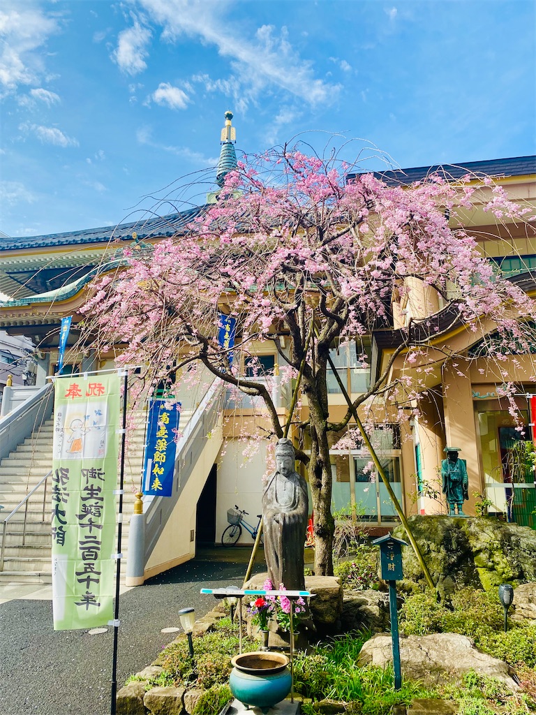 f:id:hakutsuru583:20230324201022j:image