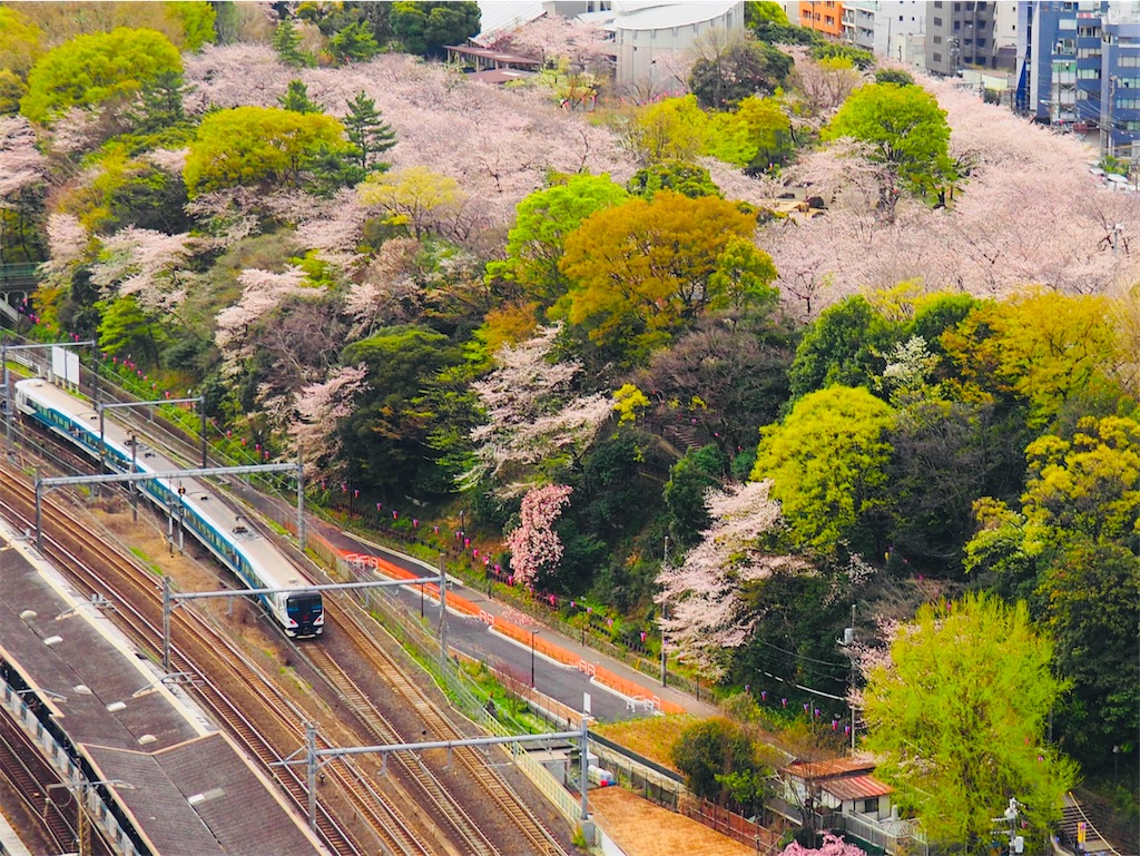 f:id:hakutsuru583:20230328181715j:image