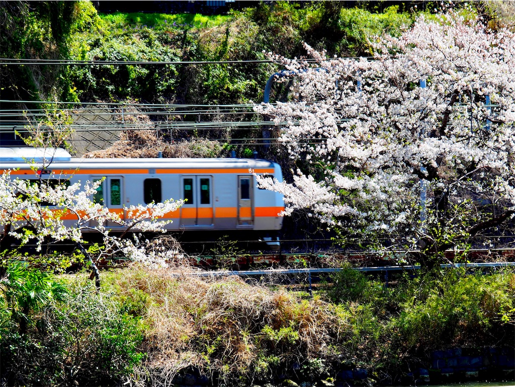 f:id:hakutsuru583:20250404200844j:image