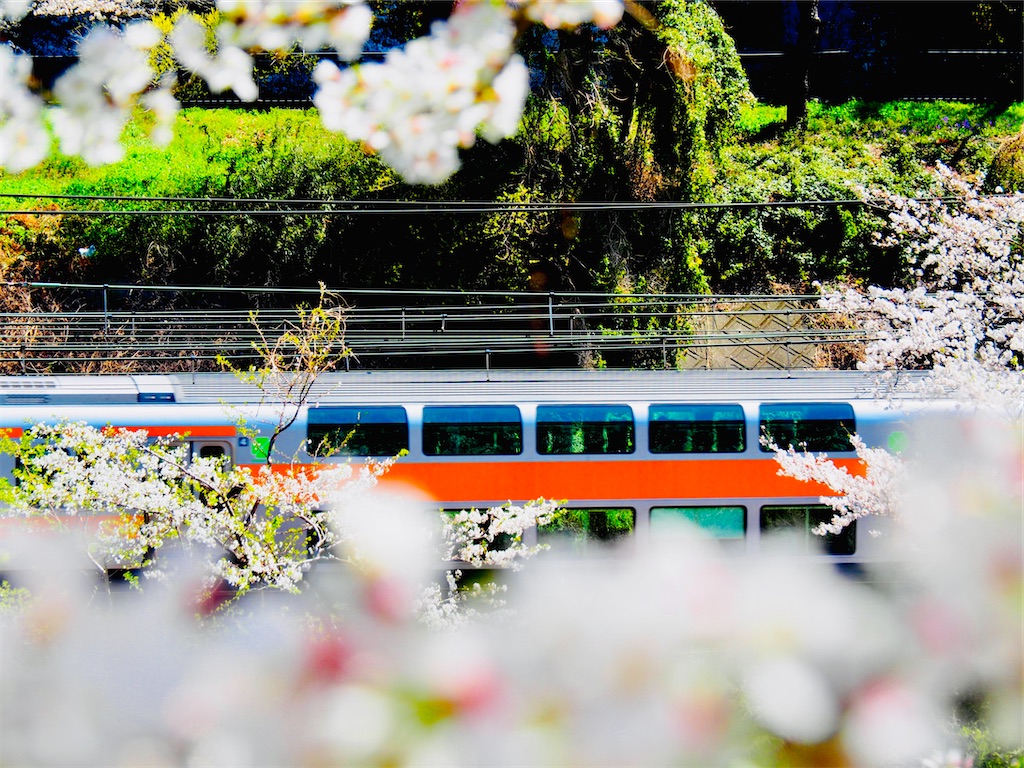 f:id:hakutsuru583:20250404200847j:image