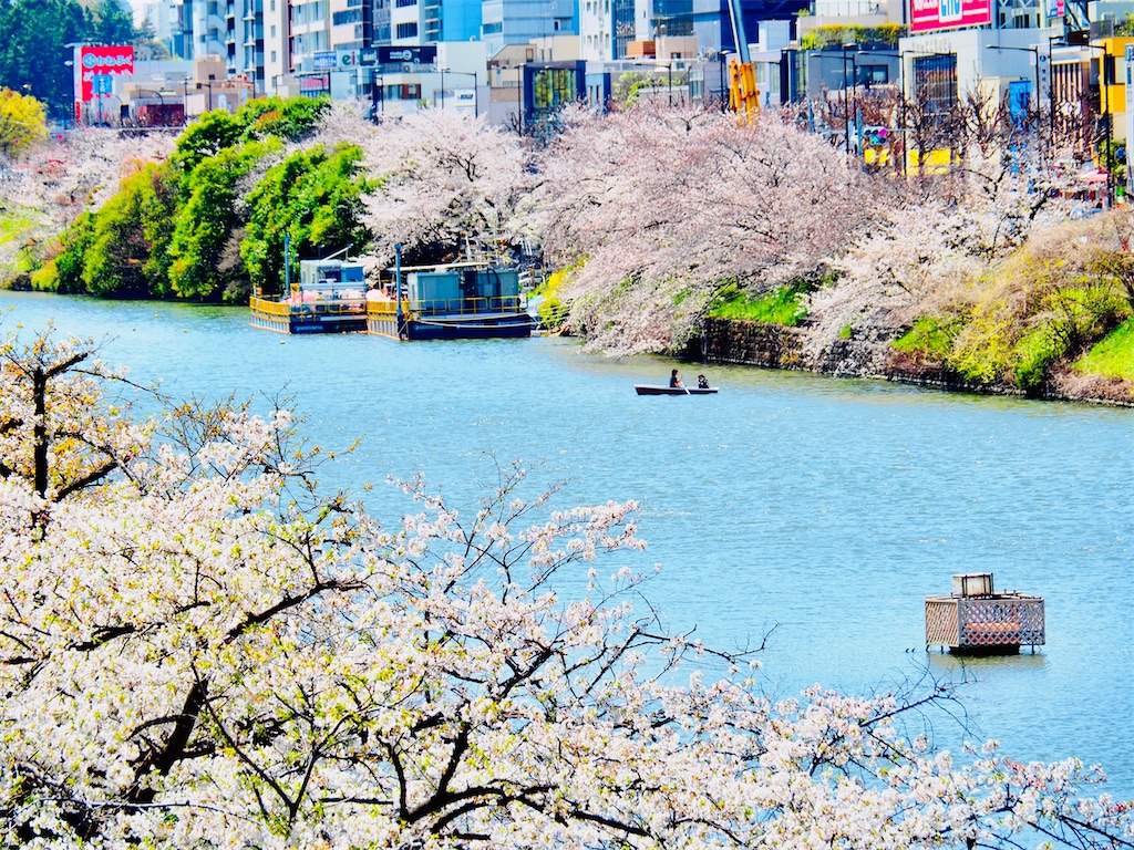 f:id:hakutsuru583:20250404200850j:image