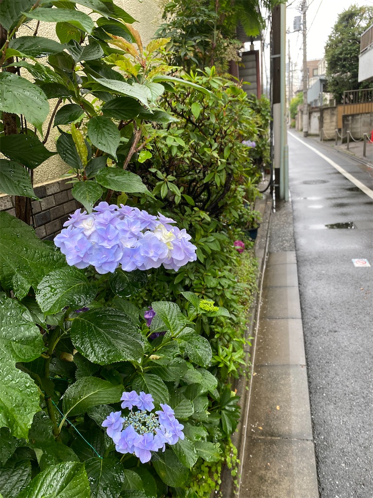 f:id:hakutsuru583:20250611151745j:image f:id:hakutsuru583:20250611151745j:image