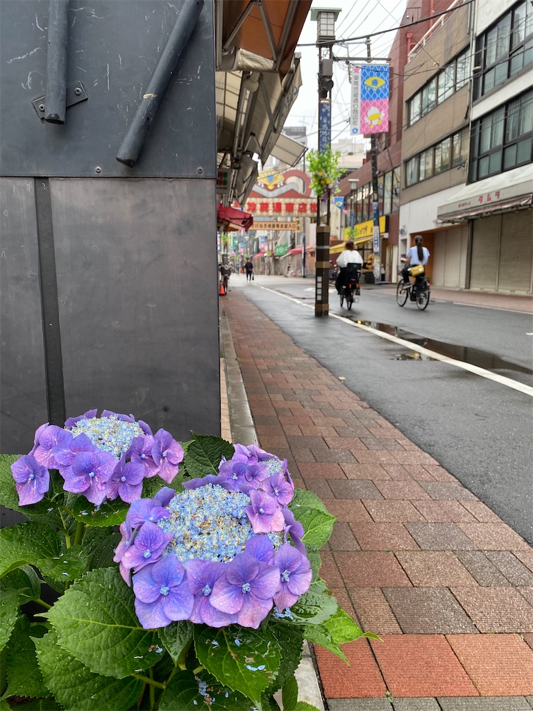 f:id:hakutsuru583:20250611151748j:image f:id:hakutsuru583:20250611151748j:image