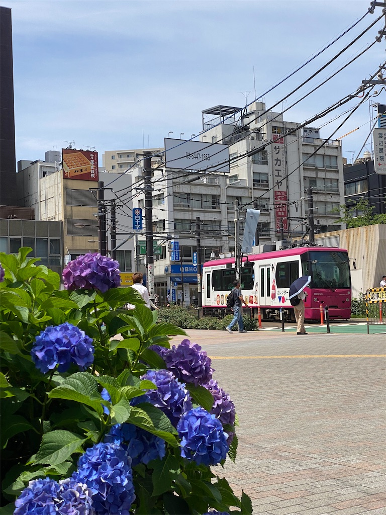 f:id:hakutsuru583:20250611151752j:image f:id:hakutsuru583:20250611151752j:image