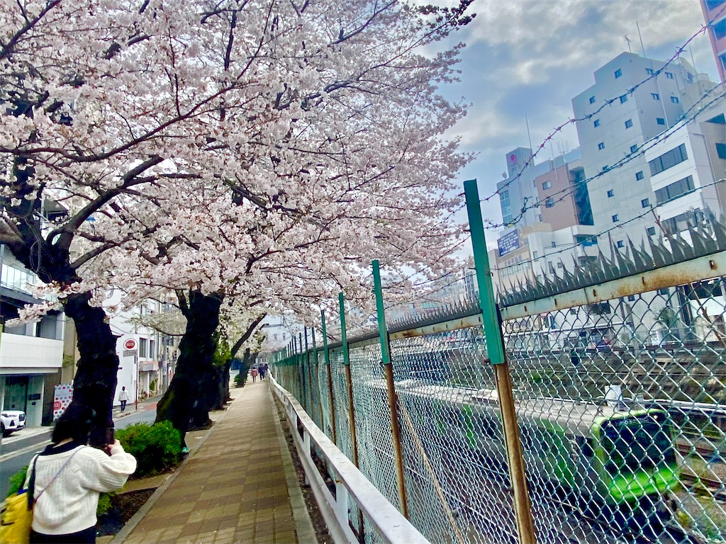 f:id:hakutsuru583:20250918152123j:image