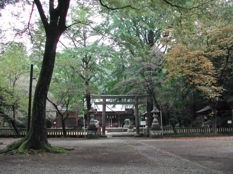地域 寺社 蔵の街 栃木市 ２ ４ 惣社町 室の八島 大神神社 旧聞アトランダム