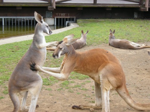 f:id:hal-minehiro:20160901154549j:plain f:id:hal-minehiro:20160901154549j:plain