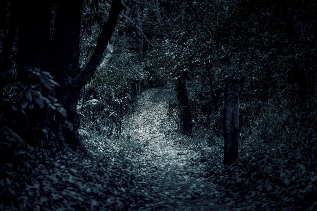 f:id:hal-minehiro:20161222171537j:plain