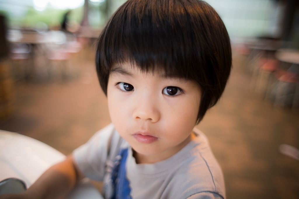f:id:hal-minehiro:20180301095622j:plain