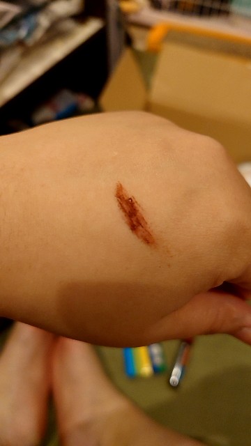 f:id:hal-minehiro:20210120230450j:image