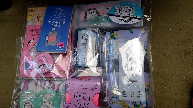 f:id:hal-minehiro:20210120231903j:image