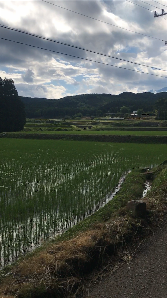f:id:hal73:20190707140319p:image