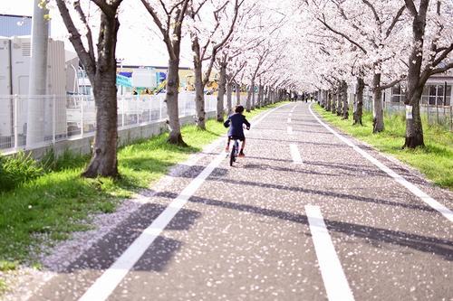 f:id:halbo3358:20220318171211j:plain