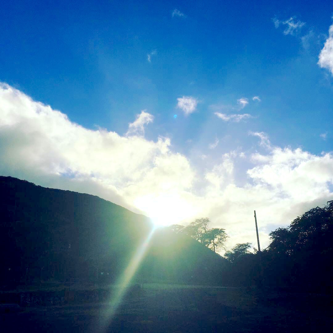 f:id:halehina:20191012184522j:plain