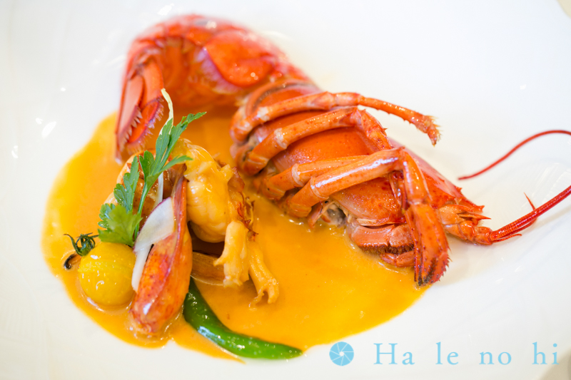 f:id:halenohi:20160524105018j:plain