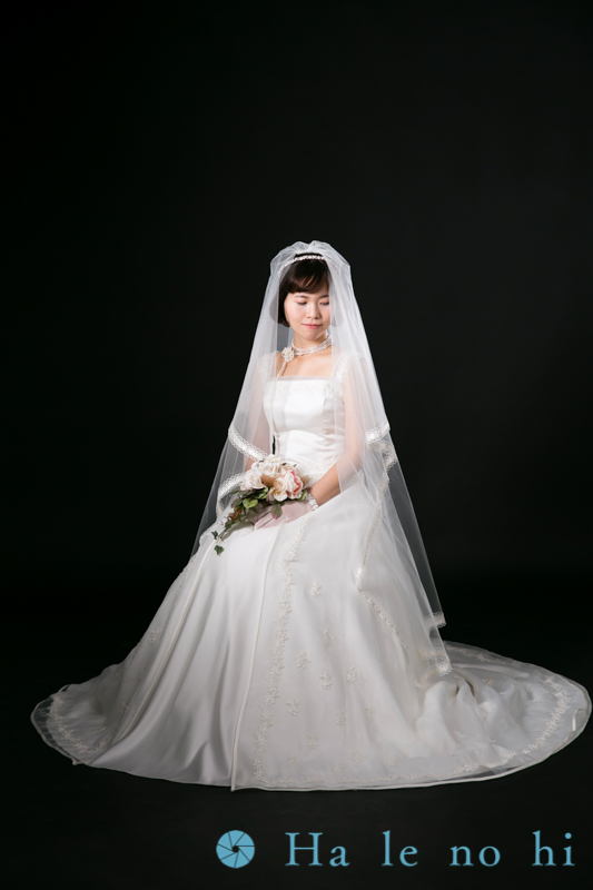 f:id:halenohi:20160717173948j:plain
